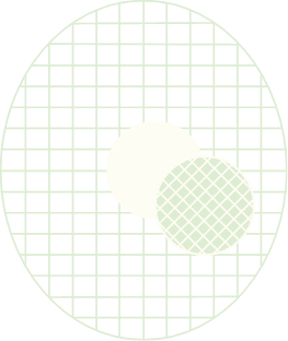 Yonex Legends - home/yonex-legends_home_parallax-object-11